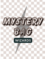 Load image into Gallery viewer, MYSTERY BAG - SHORT SLEEVE TEE SHIRT
